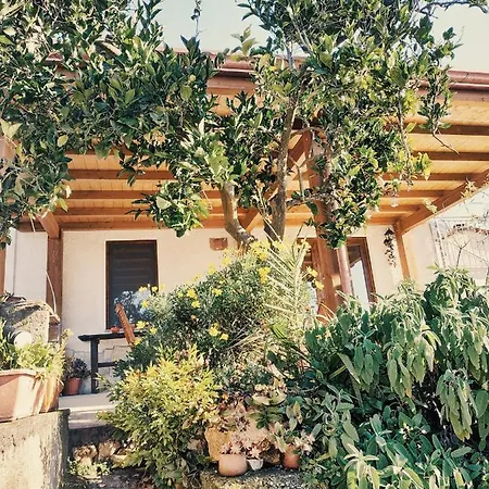 Bed & Breakfast Sud E Magia San Pietro Infine